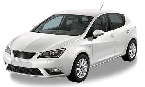 paradise oto, Seat Ibiza Serisi, oto paspas modelleri, bursa oto paspas