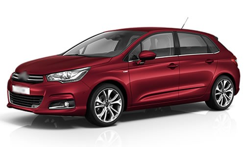 paradise oto, Citroen C4 Serisi, oto paspas modelleri, bursa oto paspas